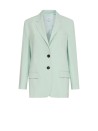 Light Green Single Breasted Jacket