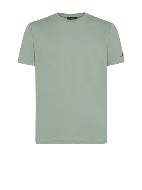 Men's Sage Green T-Shirt