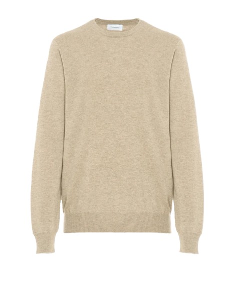 Men's Walnut Crew Neck Sweater