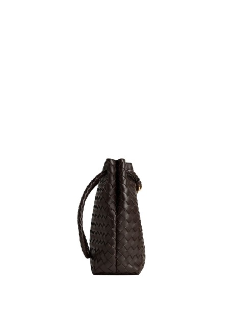 Bottega Veneta Small Andiamo Bucket Bag in Fondant 2