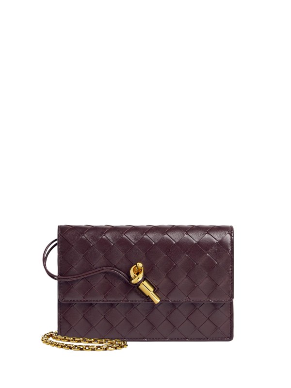 Bottega Veneta Andiamo Pouch con Catena in Pelle Nera