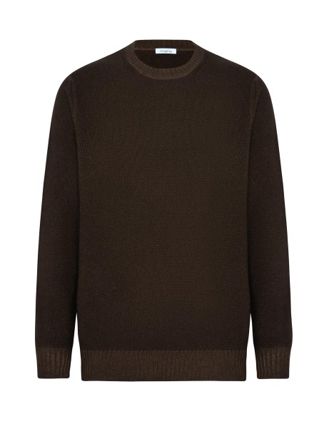 Brown Crewneck Sweater