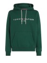 Green Logo Hoodie