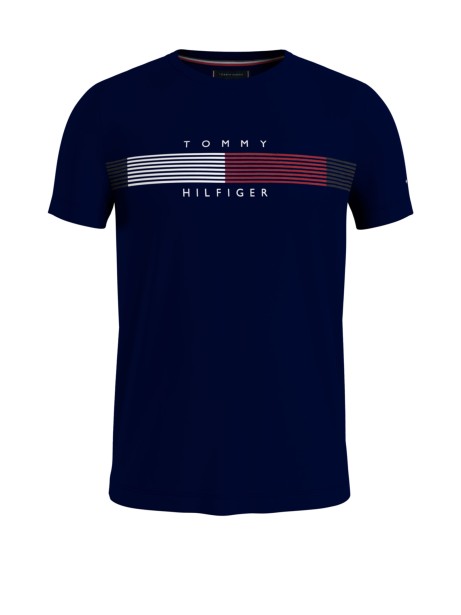 Chest Corp Stripe Graphic T-Shirt Chest Corp Stripe Graphic T-Shirt