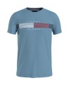 Chest Corp Stripe Graphic T-Shirt
