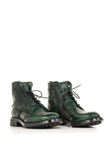 Polacco con coda di rondine 2